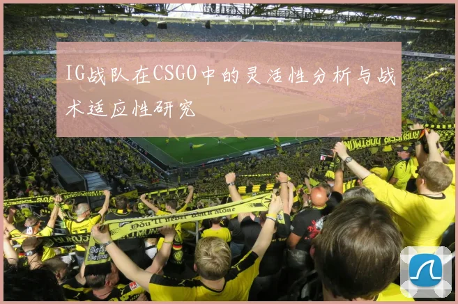 IG战队在CSGO中的灵活性分析与战术适应性研究